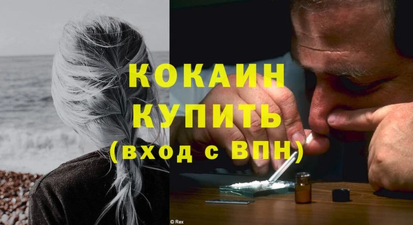 ПСИЛОЦИБИНОВЫЕ ГРИБЫ Абаза