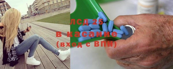 ПСИЛОЦИБИНОВЫЕ ГРИБЫ Абаза