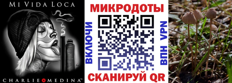 дарнет шоп  нарко площадка телеграм  Псилоцибиновые грибы MAGIC MUSHROOMS  Севастополь 